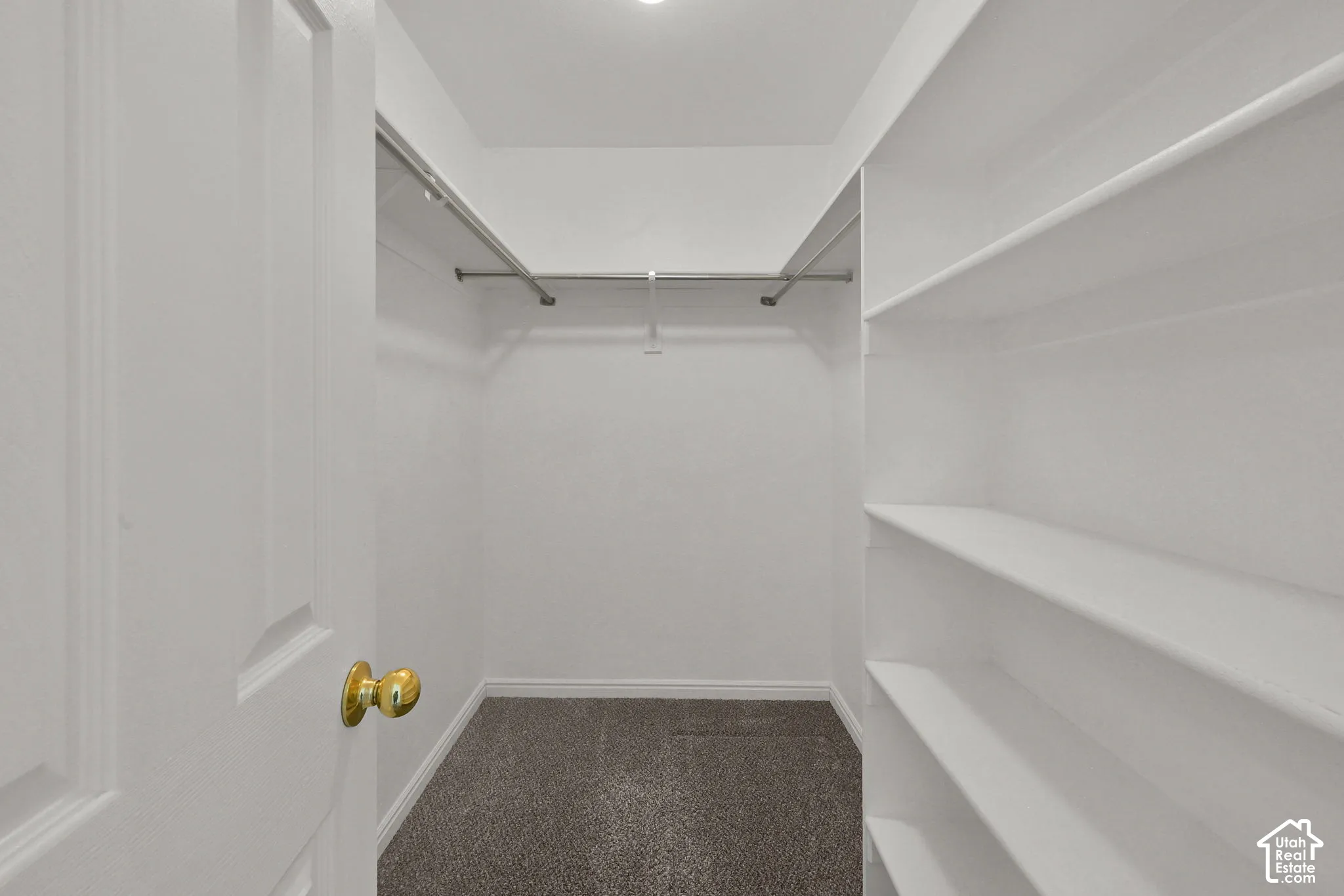 Primary Bedroom walk-in closet featuring built-in shelving, hanging rods, and carpet flooring