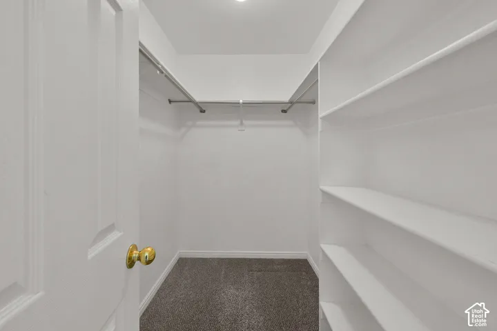 Primary Bedroom walk-in closet featuring built-in shelving, hanging rods, and carpet flooring