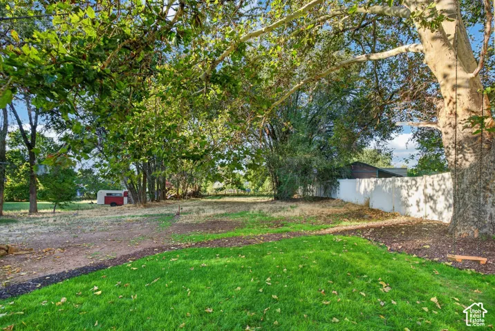 Expansive outdoor area featuring a manicured lawn, mature trees, and a white privacy wall