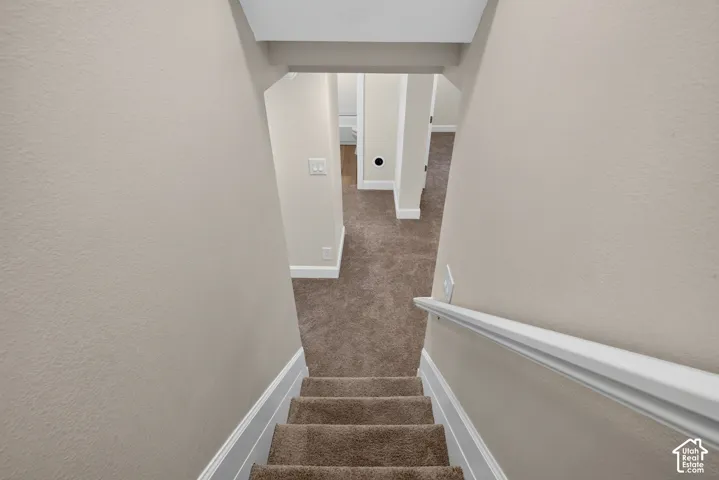 Carpeted staircase with a white handrail