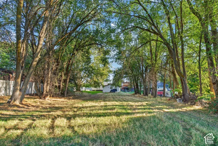 Expansive lot featuring mature trees along the perimeter and a large grassy area