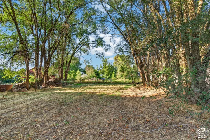 Expansive lot featuring mature trees defining the perimeter