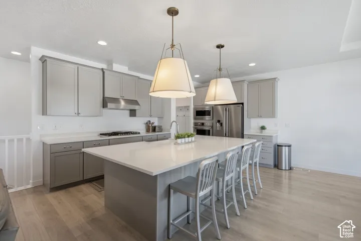 Kitchen featuring light gray cabinetry, stainless steel appliances, a large center island with counter seating, recessed lighting, and wood-finish flooring