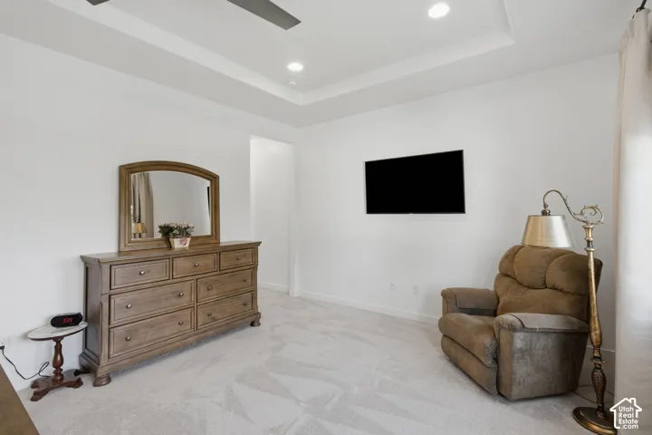 Tray ceiling with recessed lighting and a ceiling fan
