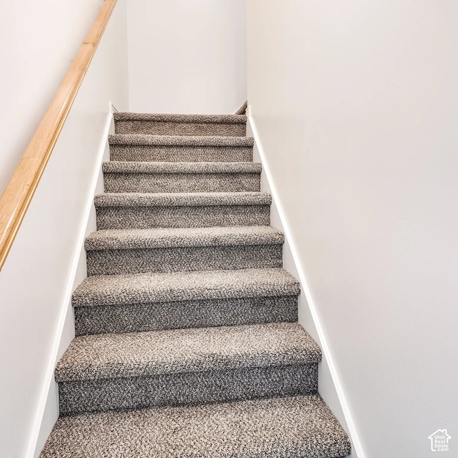 Staircase featuring textured carpeting, white risers, and a natural wood handrail