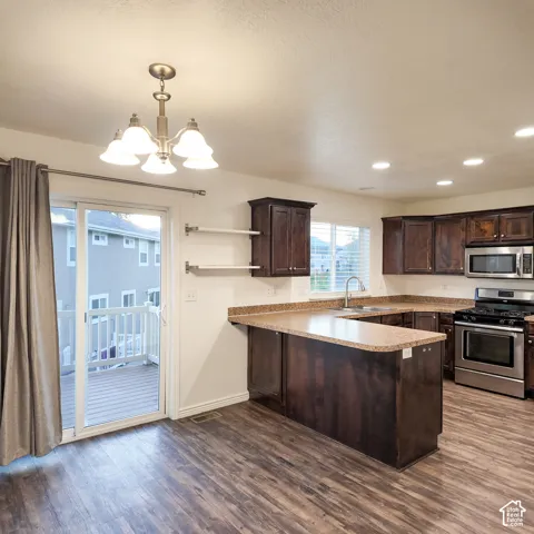 Kitchen featuring wood-finish flooring, dark wood cabinetry, stainless steel appliances, and a U-shaped countertop