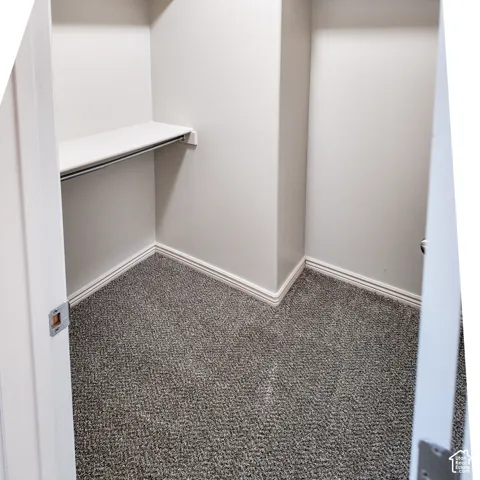 Built-in closet shelving, metal hanging rod, wall-to-wall carpeting, and painted trim molding