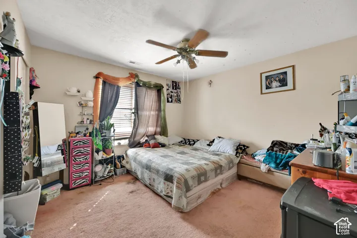 Recessed window with blinds, ceiling fan, and wall-to-wall carpeting