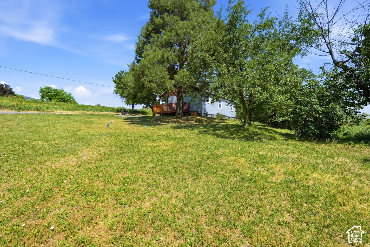 Expansive green space featuring scattered trees and a visible portion of the property's exterior