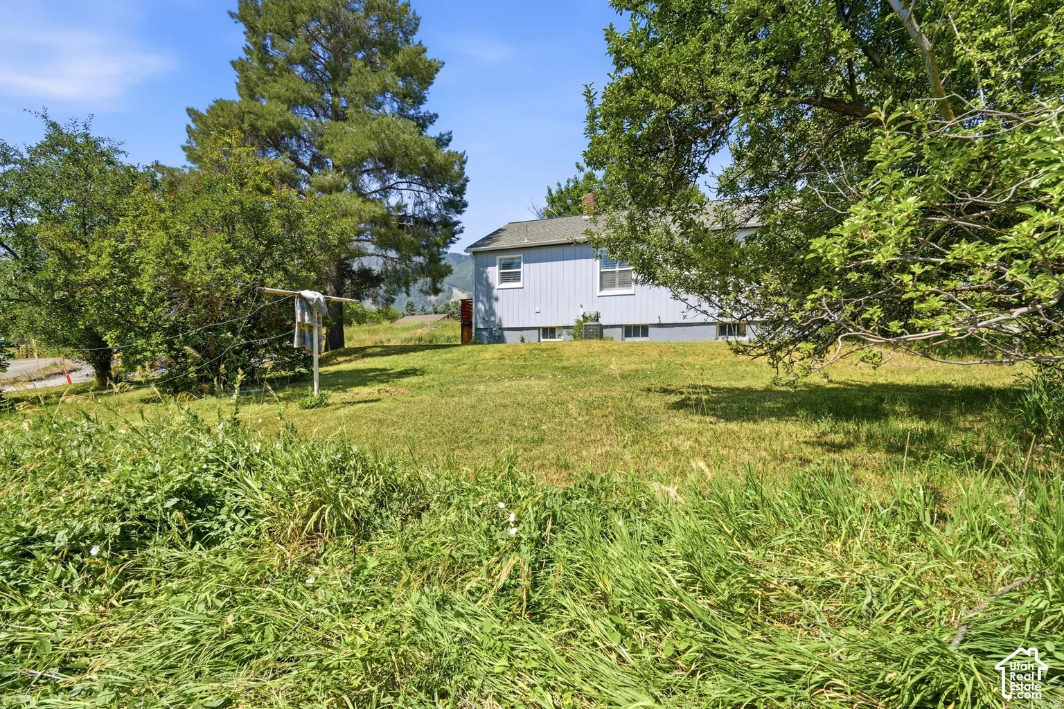 Expansive yard with mature trees and a light blue exterior