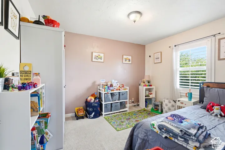 Carpeted flooring, recessed lighting, window with plantation shutters, and a paneled door