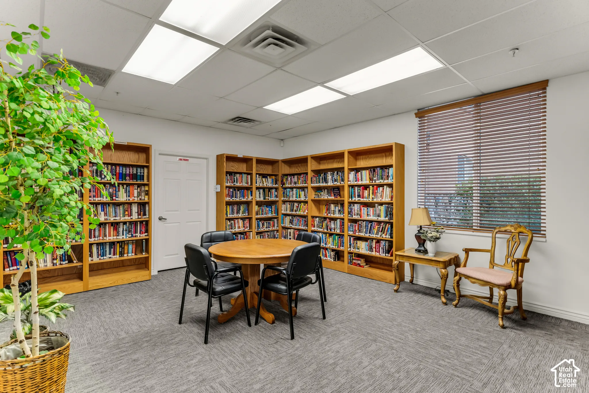 Expansive room featuring built-in wooden bookshelves, gray textured carpeting, and recessed ceiling lighting