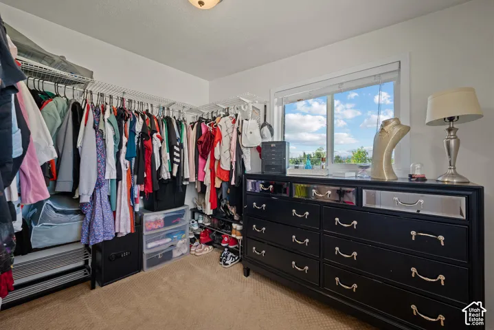 Spacious walk-in closet featuring extensive built-in rod storage, black dresser with multiple drawers and polished hardware, neutral carpet flooring, and large windows with natural light and scenic outlooks