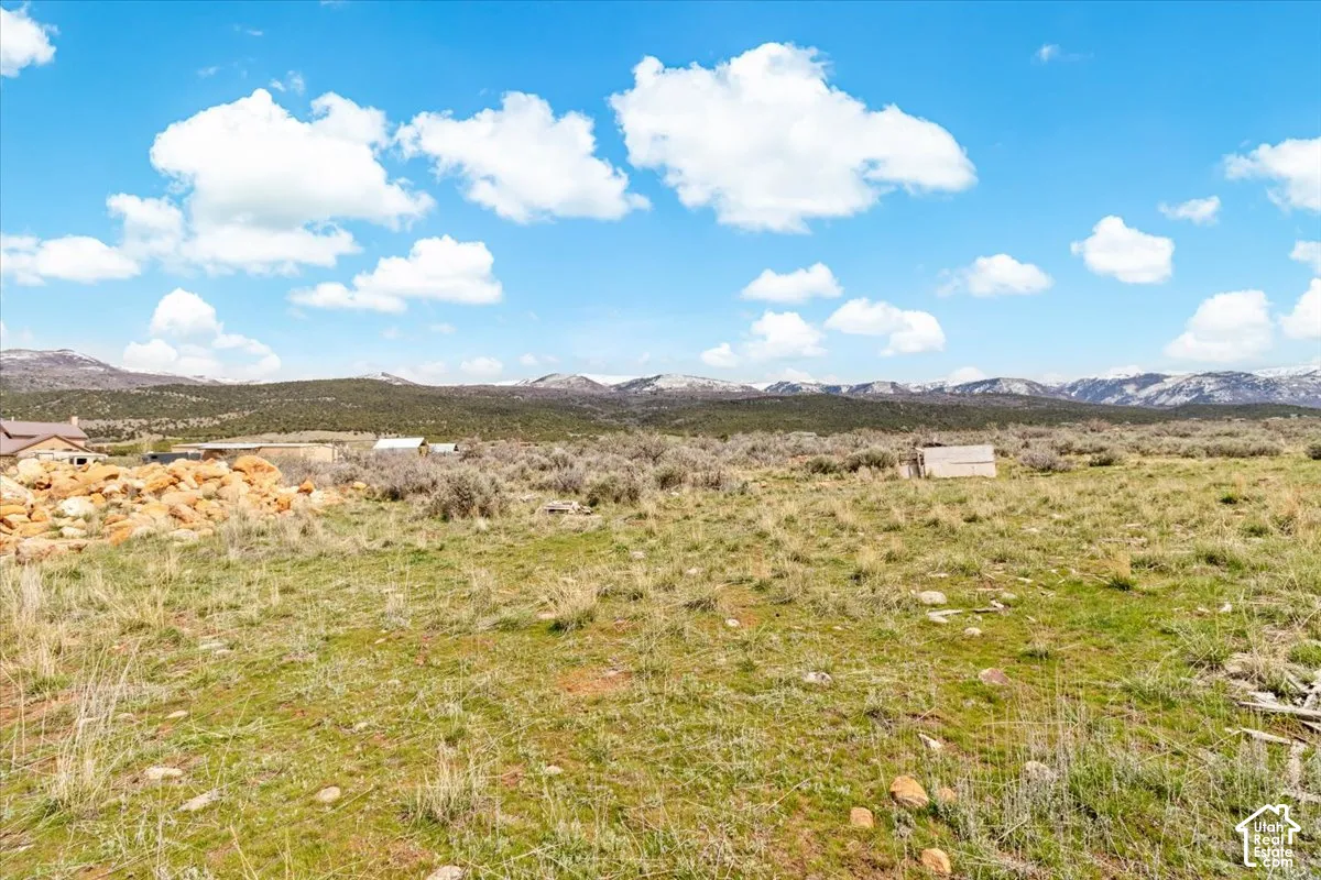 animal pasture