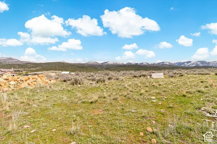animal pasture