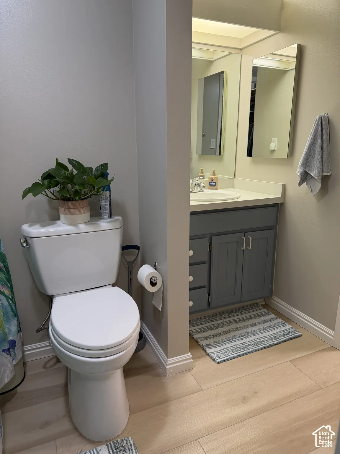 Light-toned wood-finish flooring, white vanity countertop, gray-painted vanity cabinetry, built-in medicine cabinet, and wall-mounted mirror