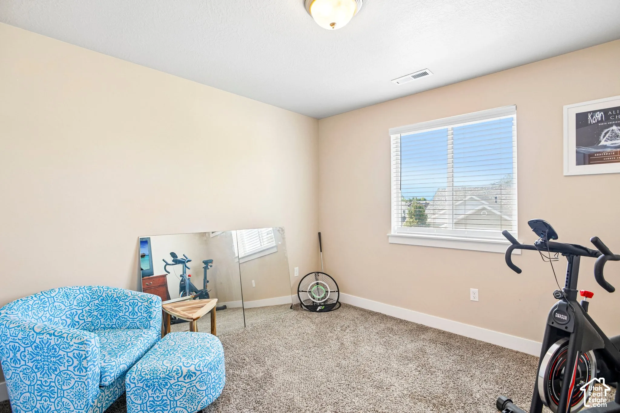 Window with horizontal blinds, neutral wall paint, ceiling light fixture, and carpeted flooring