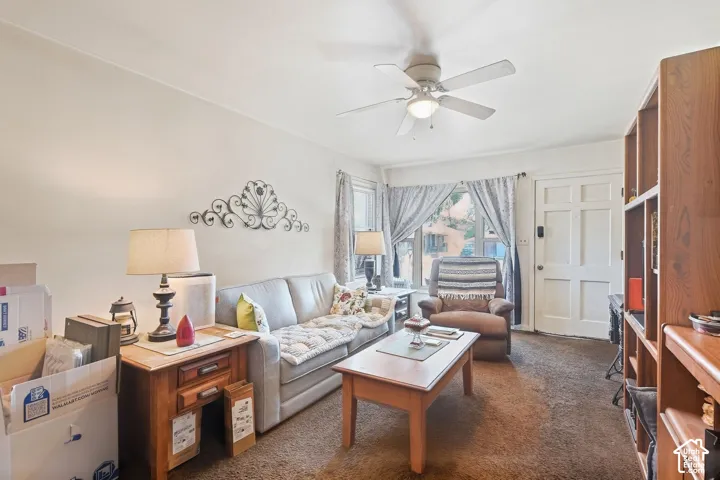 Living area featuring a ceiling fan with integrated lighting, a paneled interior door, and a built-in wood-finish shelving unit