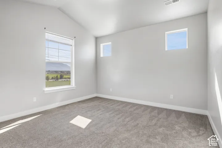 Vaulted ceiling