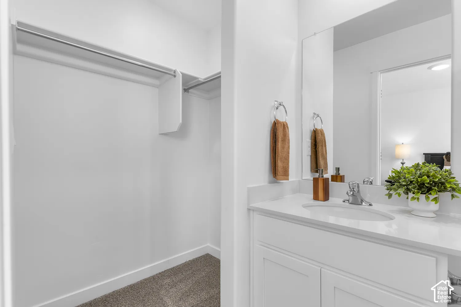 Walk-in closet with carpeted flooring and chrome hanging rod