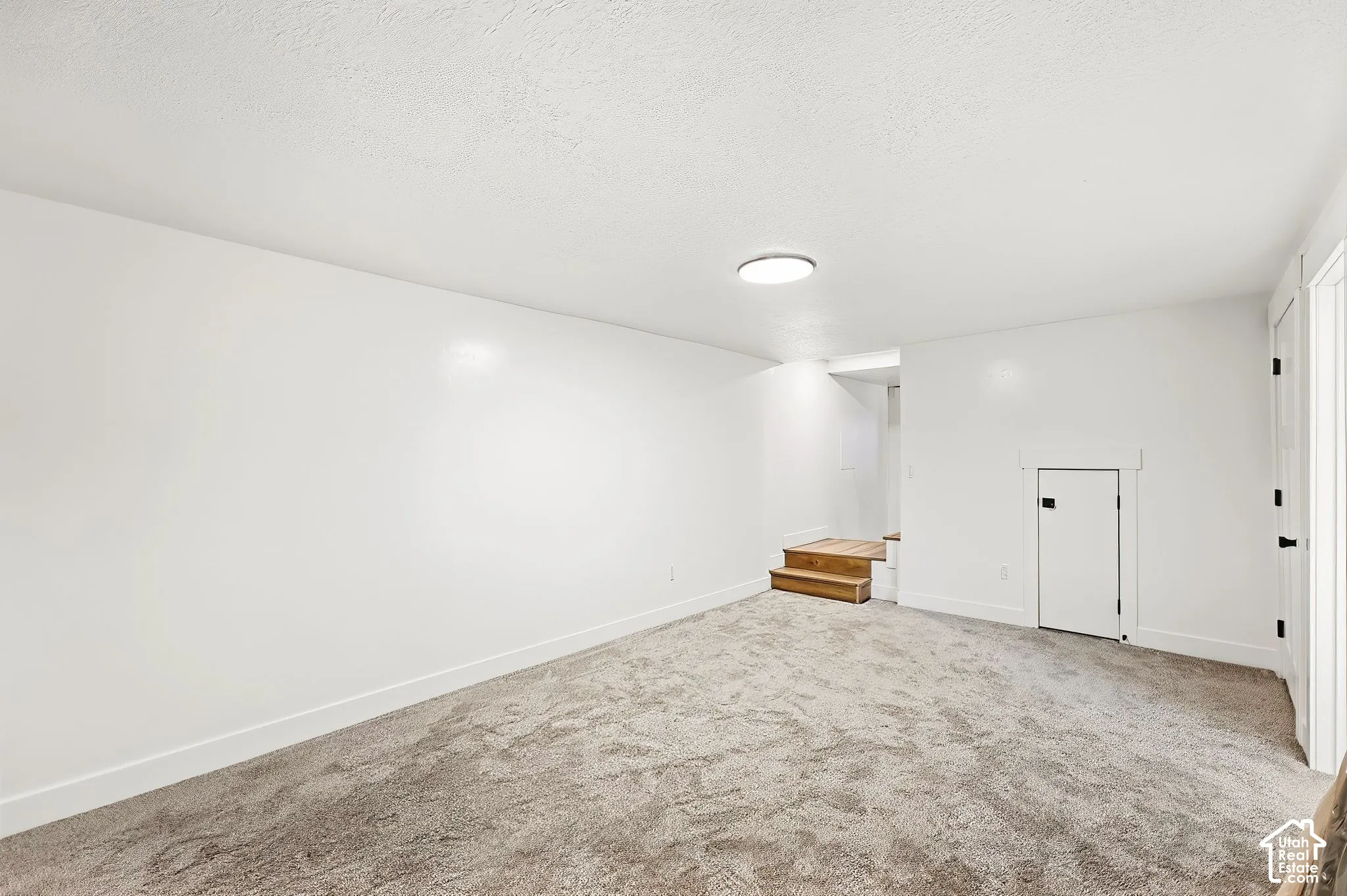 Carpeted room with white walls, wood-finish steps, and a flush-mount ceiling light