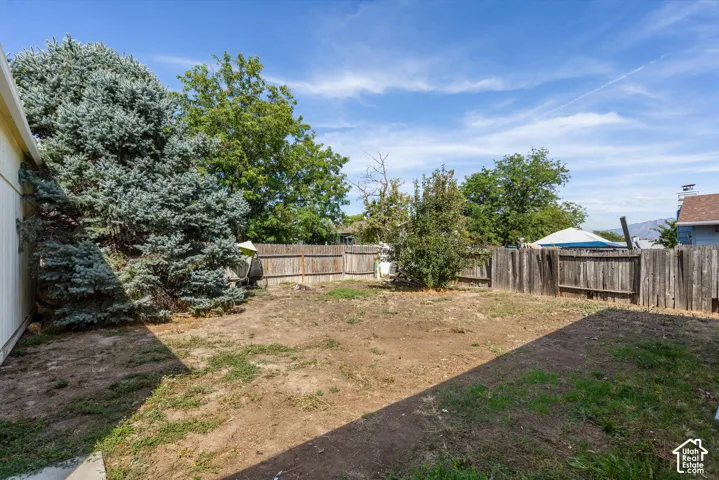 Expansive outdoor space featuring a wood-panel fence and established trees