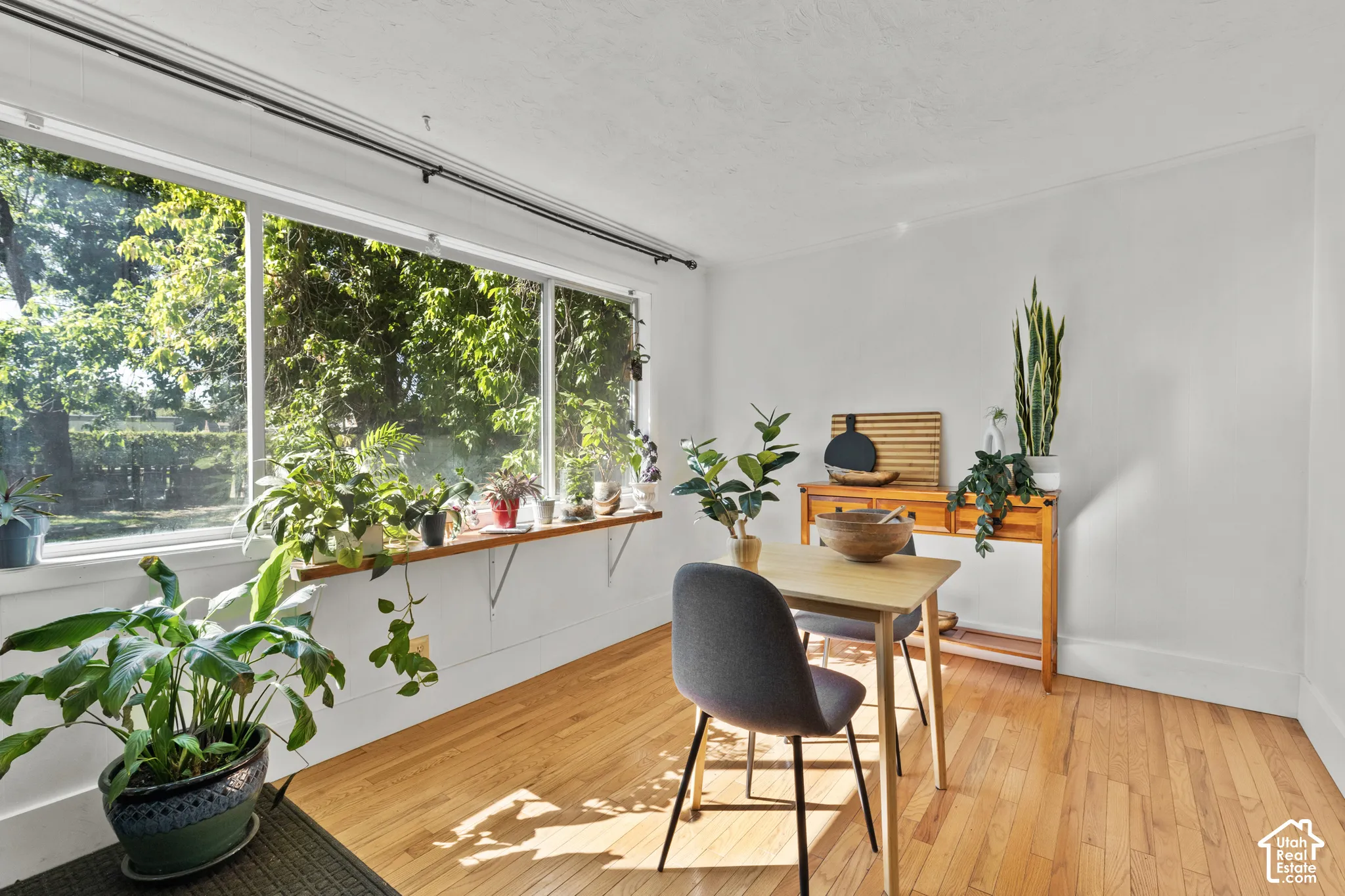 Kitchen extension, food prep-area with oak wood, natural light & view of the backyard