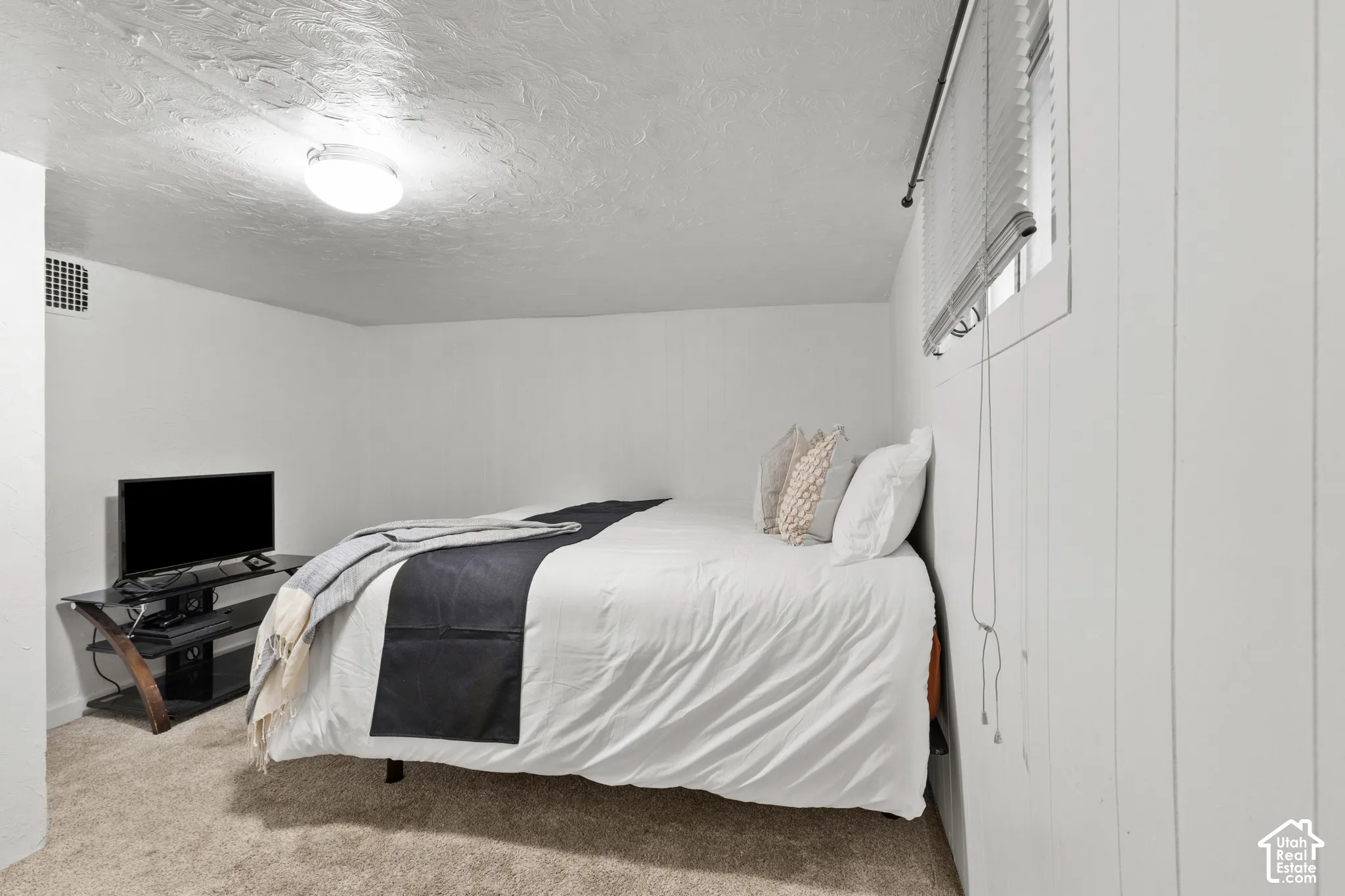 Bedroom #3 (basement)