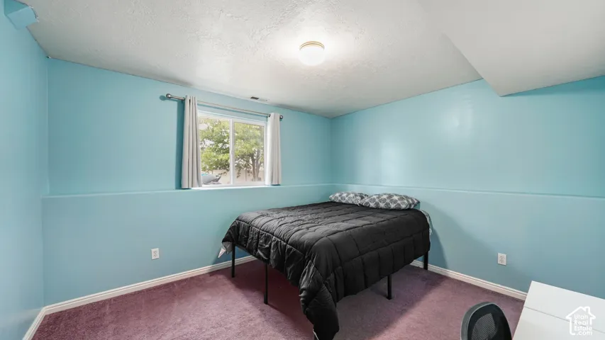 Recessed window with white trim, wall-mounted light fixture, and plush carpeting