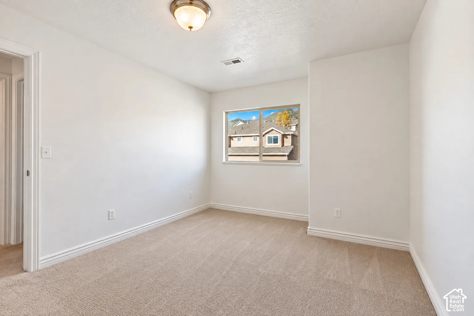 Neutral color palette with textured carpeting, a window providing natural illumination, and a ceiling-mounted light fixture
