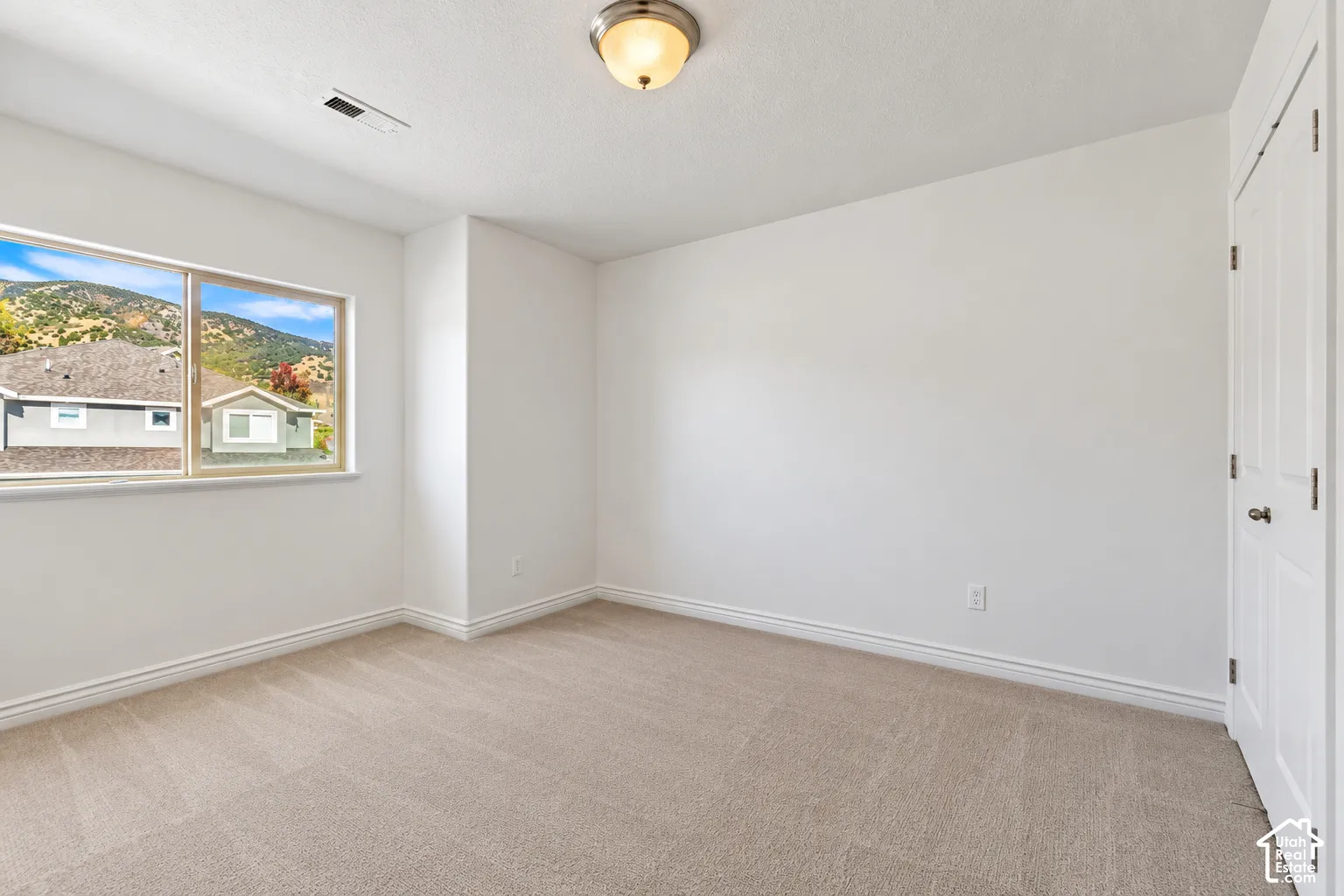 Neutral tone wall paint, light-toned carpet flooring, white trim, and a ceiling-mounted light fixture