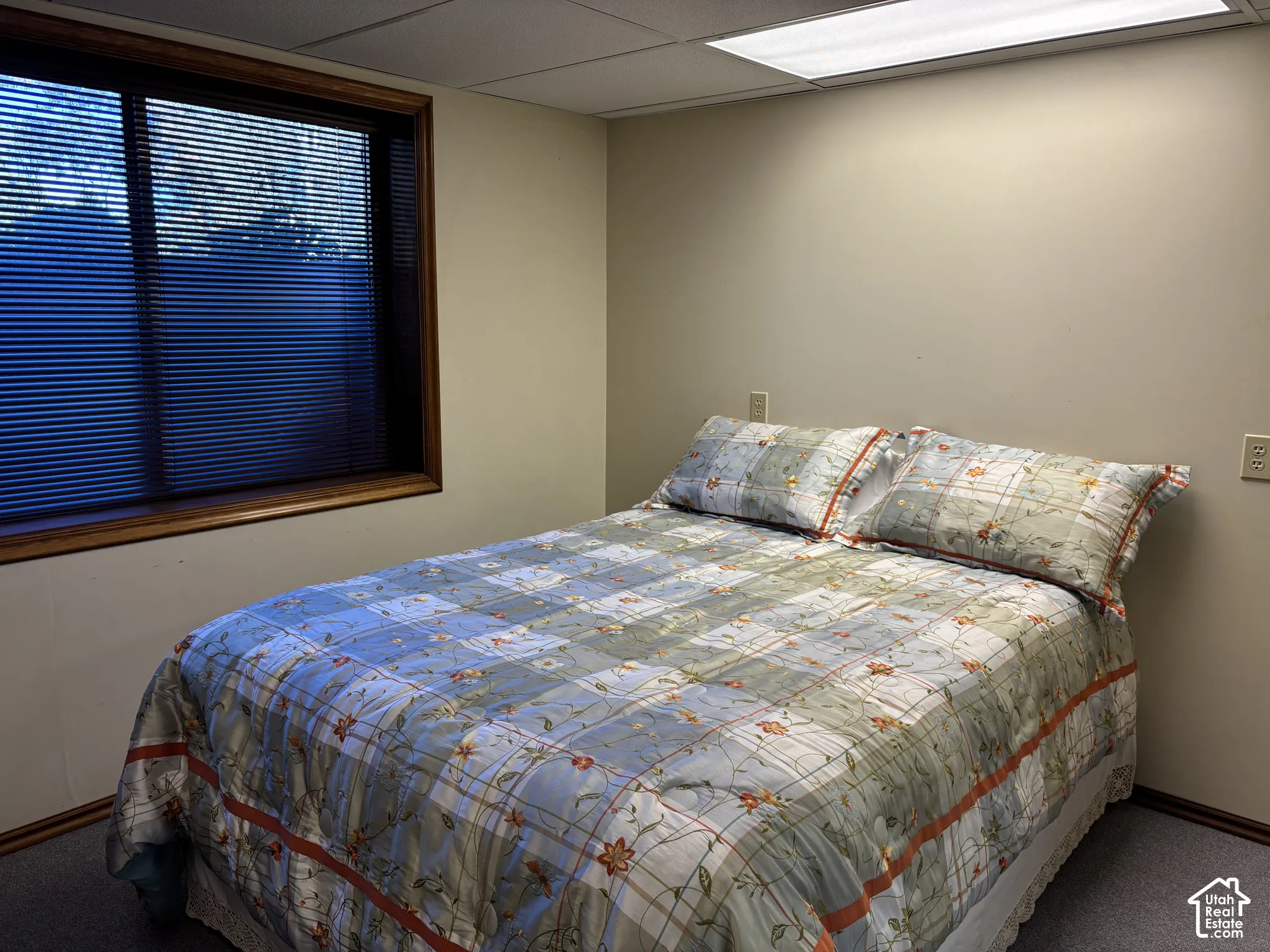 Recessed window with wood-finish trim, horizontal blinds, wall-to-wall carpeting, and flush-mount ceiling lighting