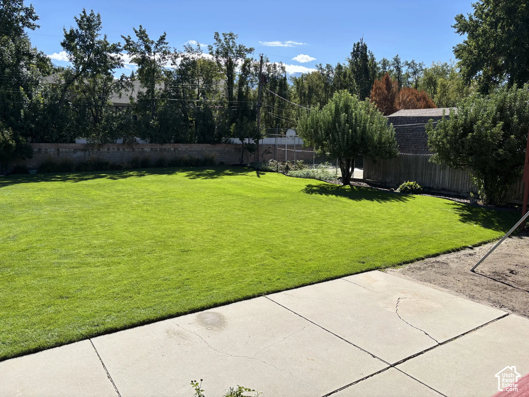 Expansive lawn with mature trees and a concrete patio