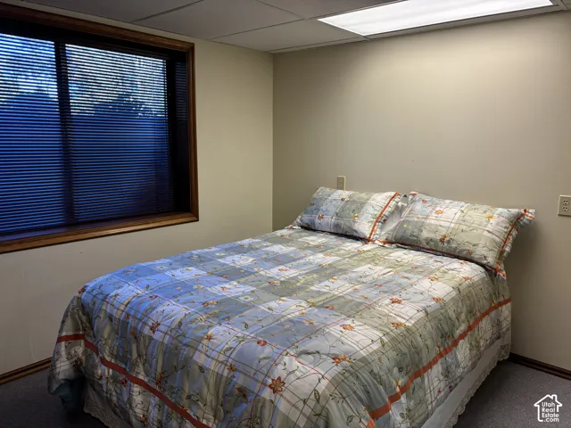 Recessed window with wood-finish trim, horizontal blinds, wall-to-wall carpeting, and flush-mount ceiling lighting