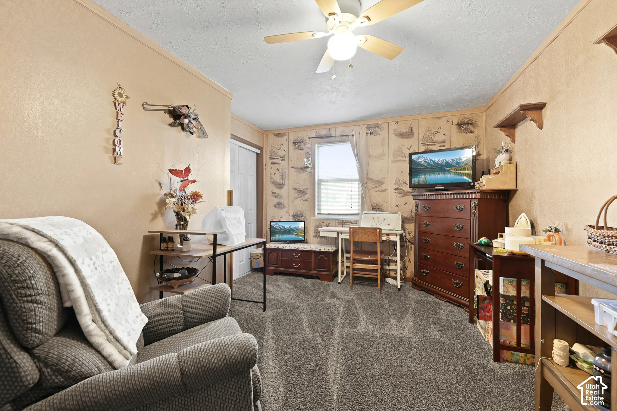 Textured wall coverings, ceiling fan, carpet flooring, and a single window