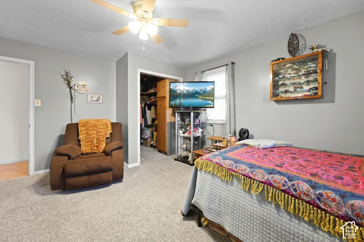 Carpeted room with a ceiling fan, a window with blinds, and a built-in closet with shelving