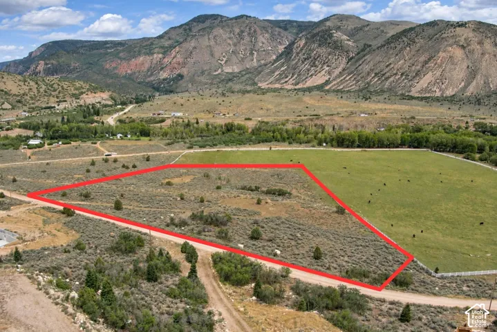 Expansive rural acreage with natural vegetation and unpaved road access