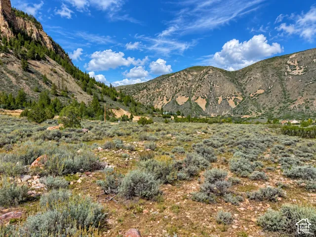 Expansive terrain with natural ground cover, surrounded by mountainous topography and scattered evergreen trees