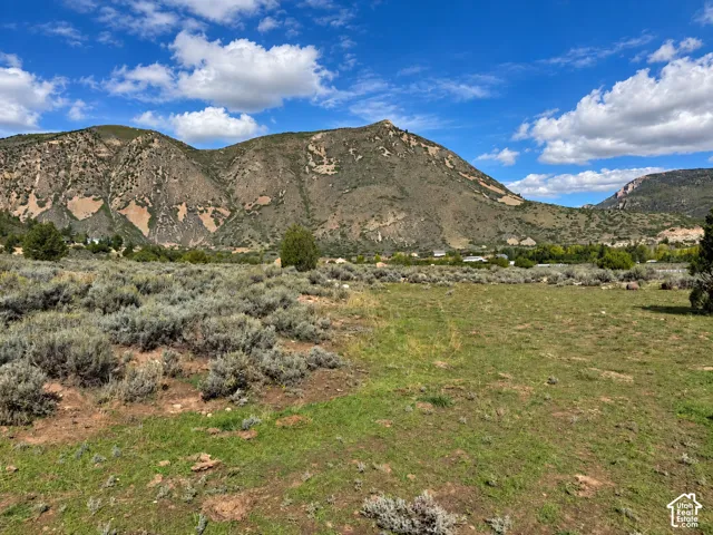 Expansive open land featuring natural scrub brush and grassy areas, set against a backdrop of distant mountains