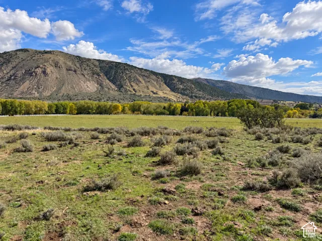 Expansive acreage featuring natural ground cover, mature green foliage, and a mountainous backdrop