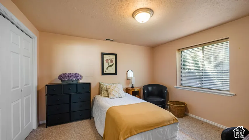 Wall-to-wall carpeting and a ceiling-mounted light fixture