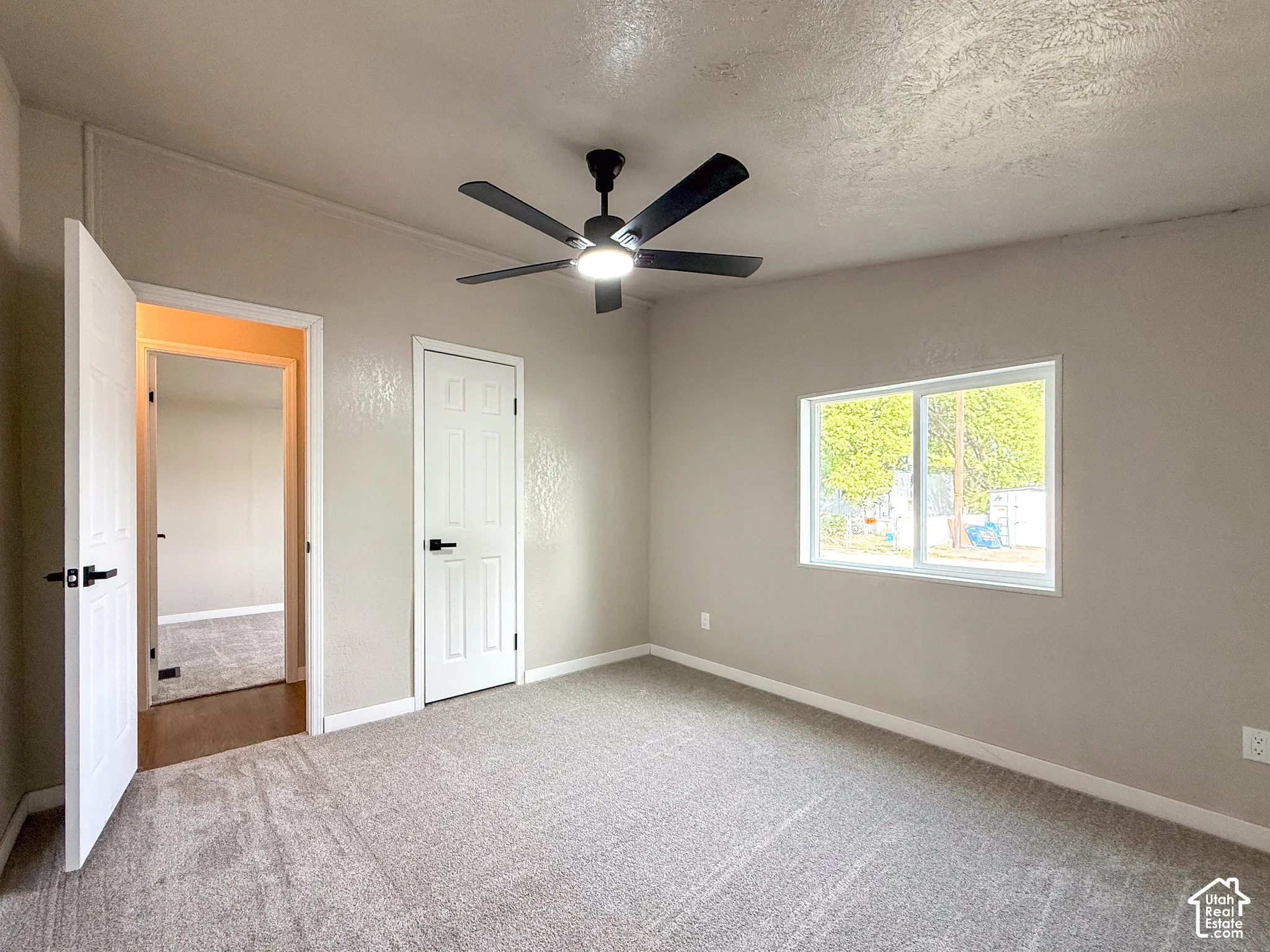 Light gray textured carpet and neutral wall paint