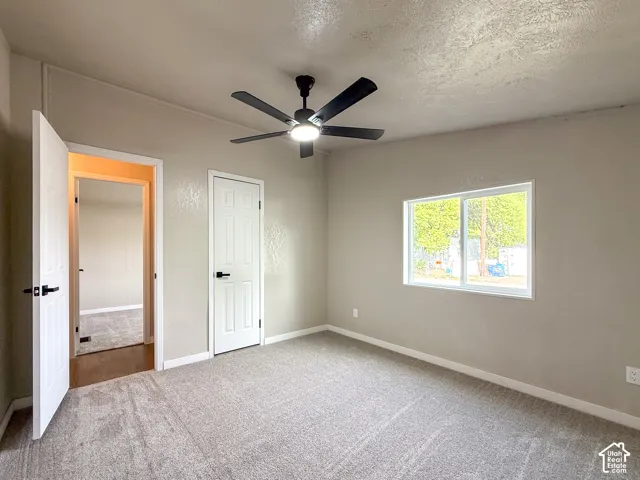 Light gray textured carpet and neutral wall paint