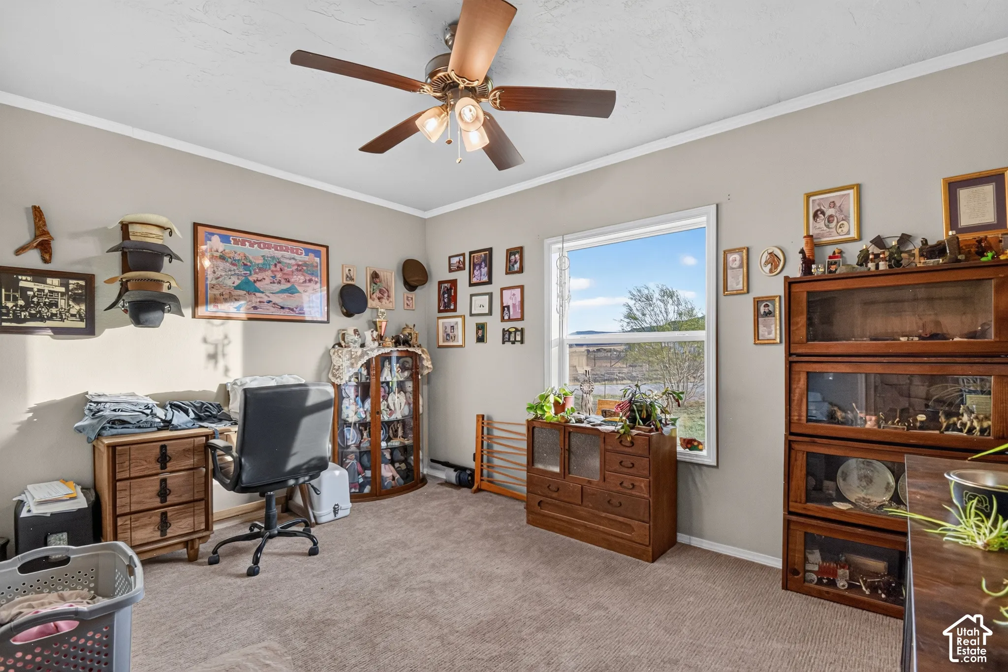 Carpeted flooring, neutral wall color, ceiling fan with light fixture, white trim, and a window providing natural light