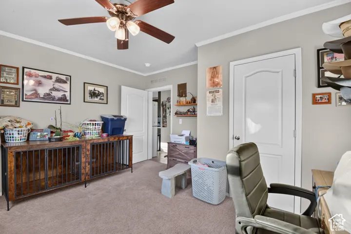 Recessed ceiling lighting, ceiling fan with light fixture, carpeted flooring, white interior doors, and crown molding