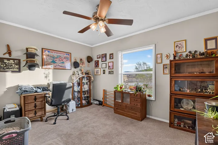 Carpeted flooring, neutral wall color, ceiling fan with light fixture, white trim, and a window providing natural light