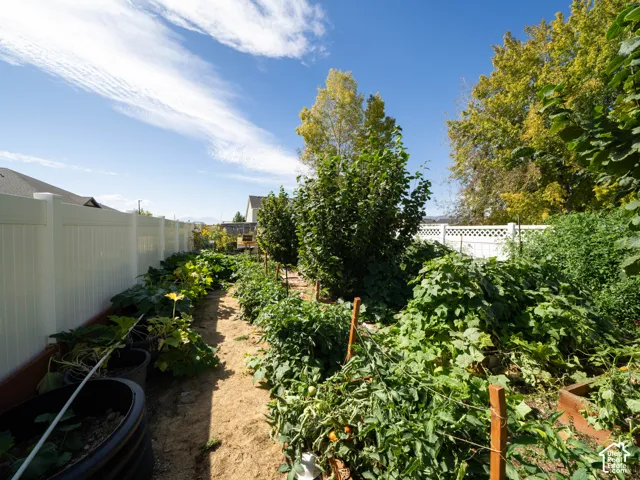 Expansive garden area featuring various plants, a white privacy fence, and mature trees