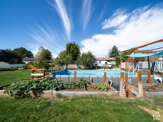 Expansive backyard featuring a large swimming pool, raised garden beds, and a wood deck with a pergola structure