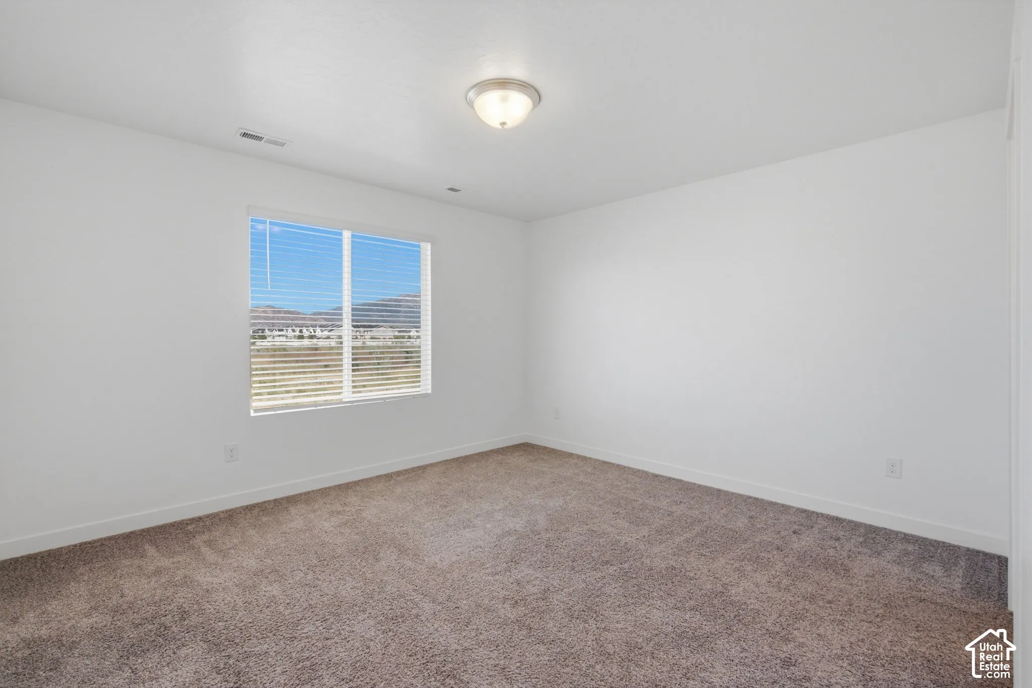 Expansive room featuring neutral-toned carpeting, white walls, and a ceiling-mounted light fixture