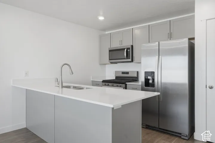 Kitchen featuring a center island, stainless steel appliances, light gray cabinetry, wood-finish flooring, and recessed lighting